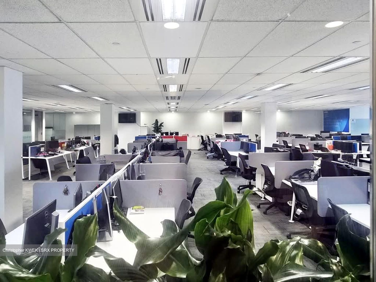 MYP Plaza (D1), Office #551181841